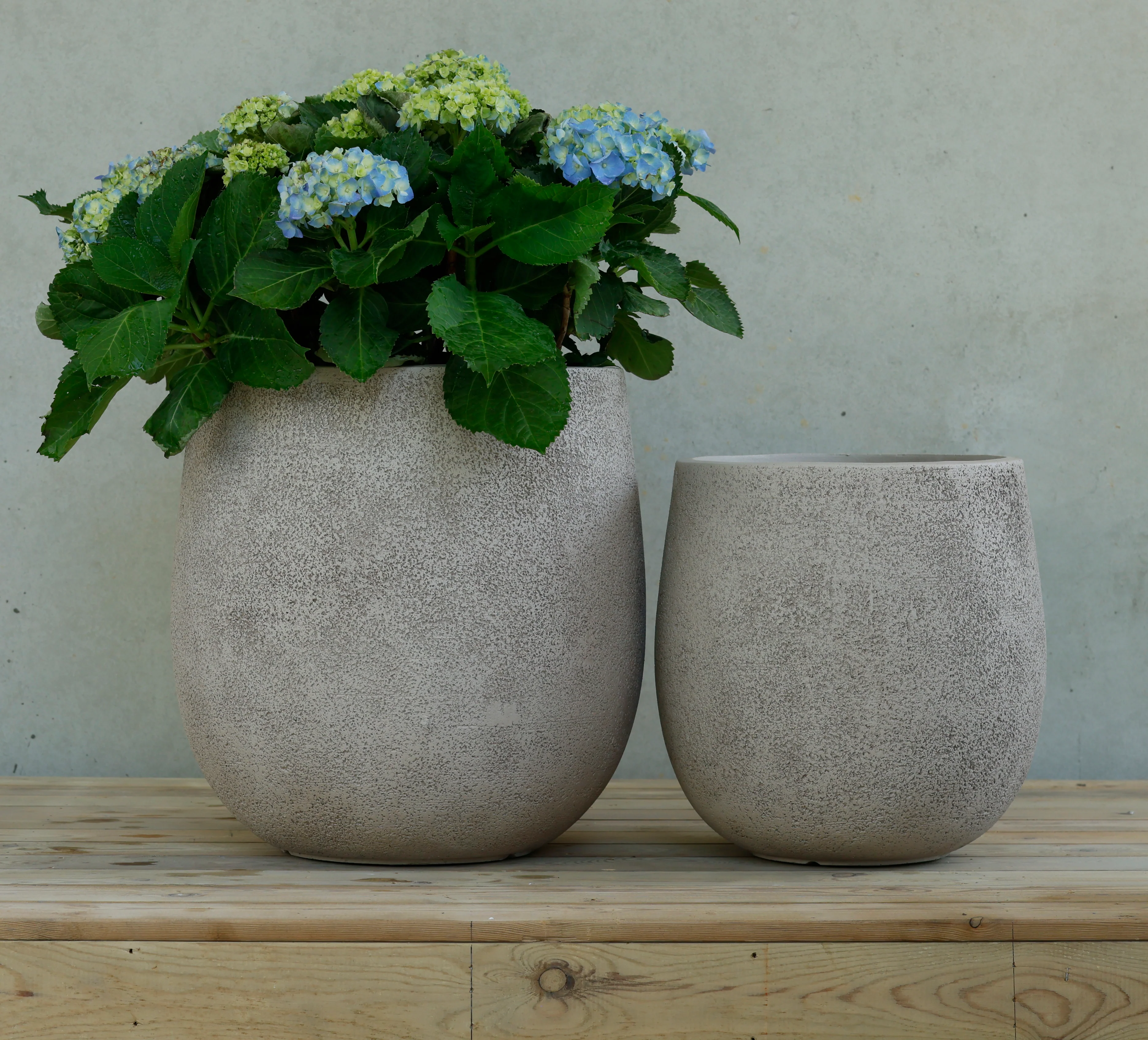 VASO VIENNA SALE E PEPE - 2 MISURE - Woodlume