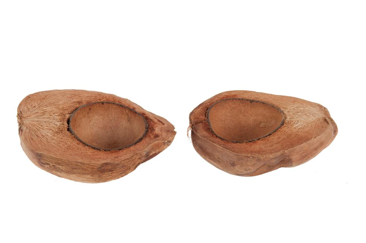 SET 5 PEZZI MEZZO COCCO - Woodlume