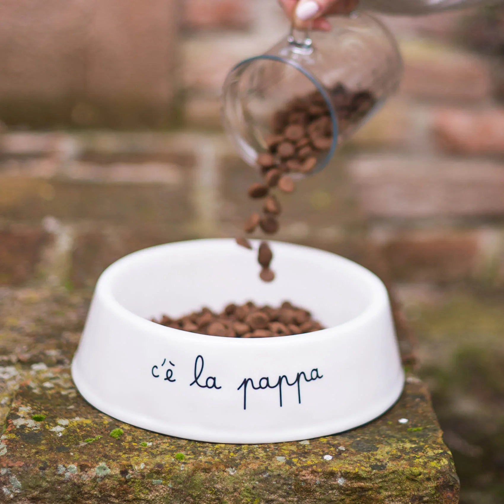 CIOTOLA C'E' LA PAPPA GRANDE - Woodlume