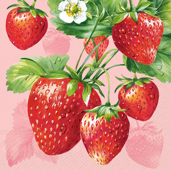 TOVAGLIOLI STRAWBERRY - Woodlume