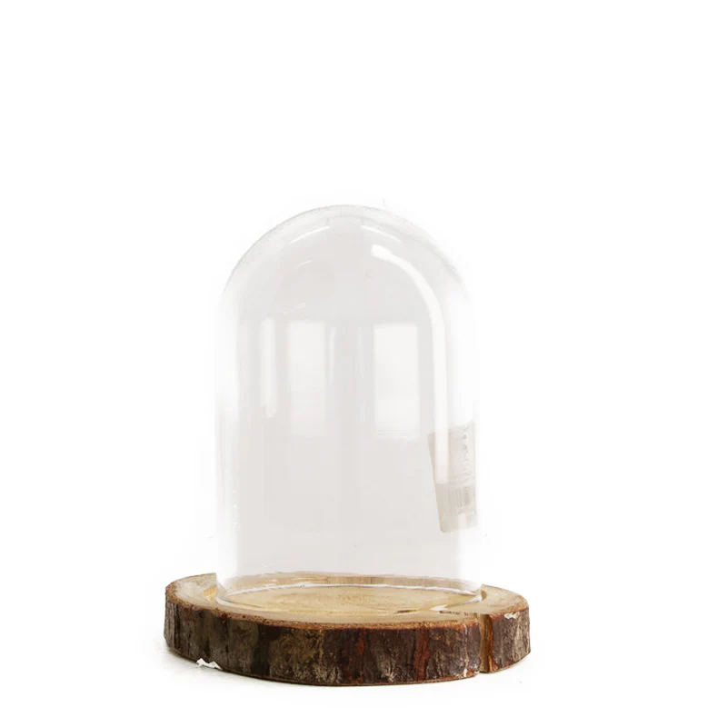 CAMPANA IN VETRO CON BASE IN LEGNO - PICCOLA - Woodlume