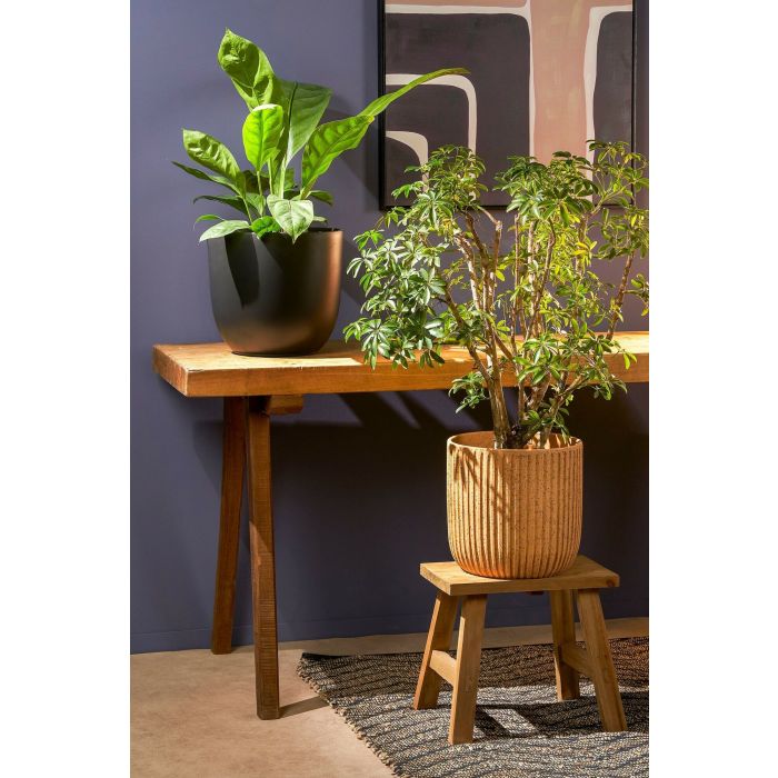 SGABELLO IN LEGNO - Woodlume