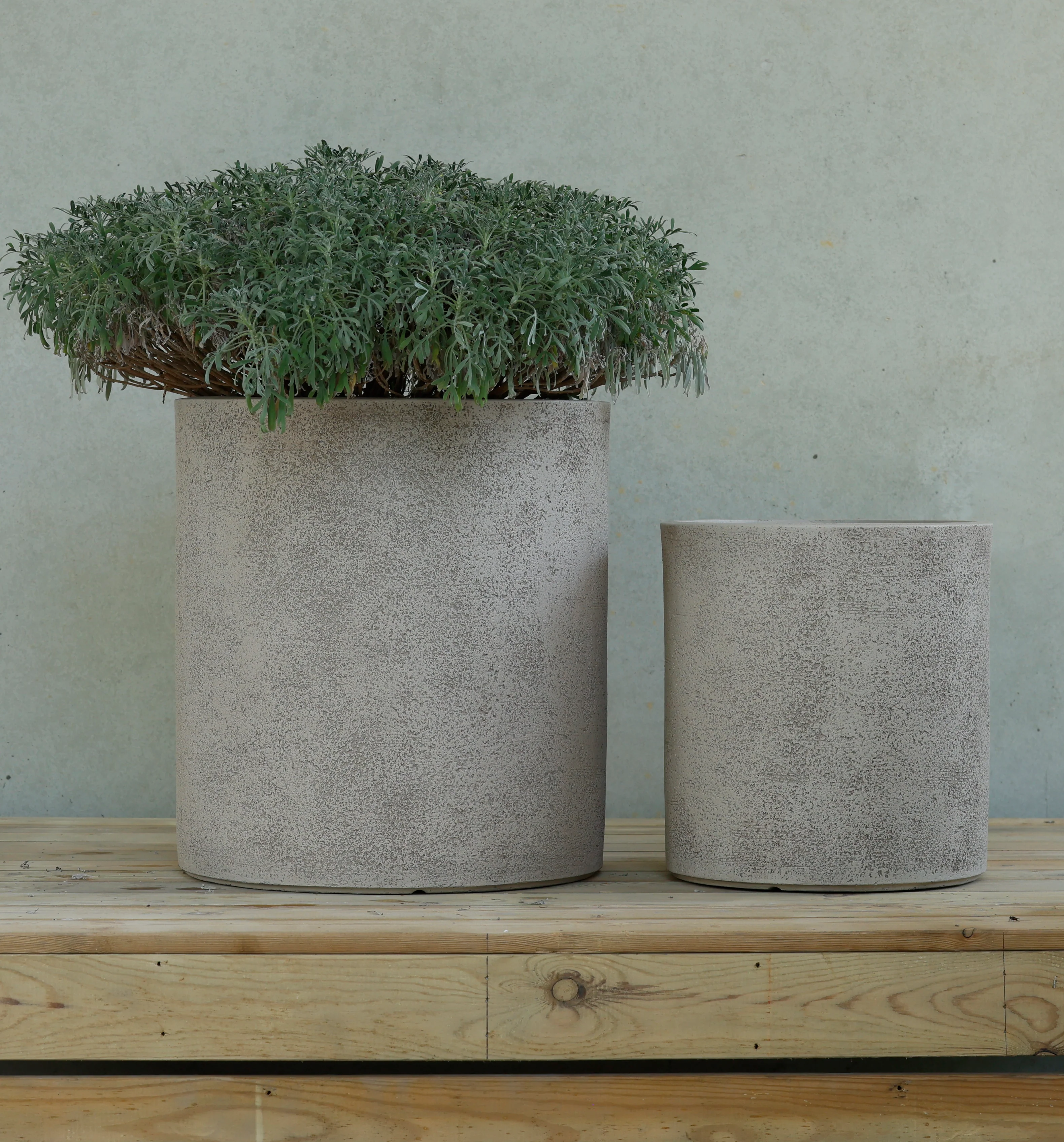 VASO AMSTERDAM - 2 MISURE - Woodlume
